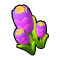 Cotton Lavender