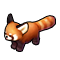 Red Panda
